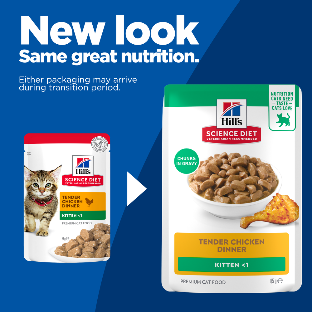 Hills Science Diet Kitten Chicken Cat Food Pouches