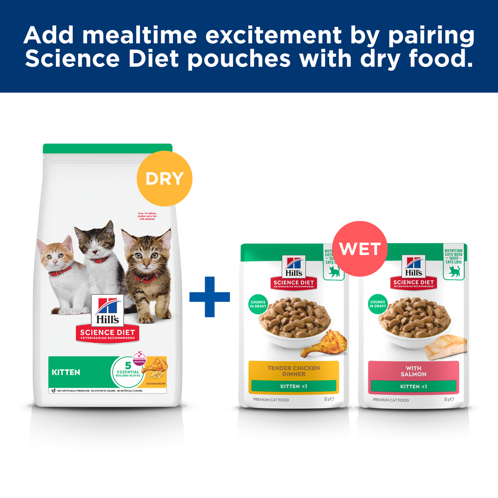 Hills Science Diet Kitten Chicken Cat Food Pouches