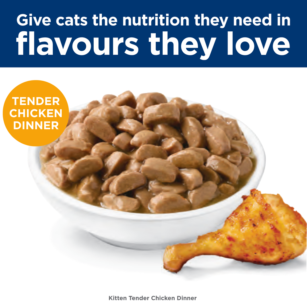 Hills Science Diet Kitten Chicken Cat Food Pouches