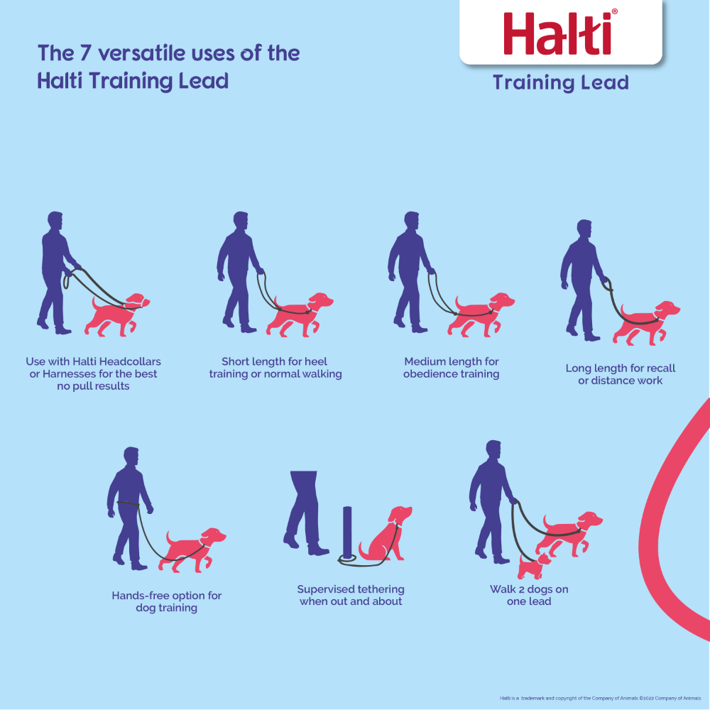 Halti Multi Function Dog Training Lead in Black