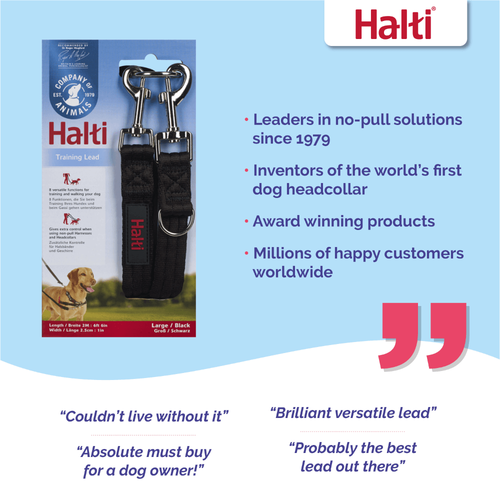 Halti Multi Function Dog Training Lead in Black