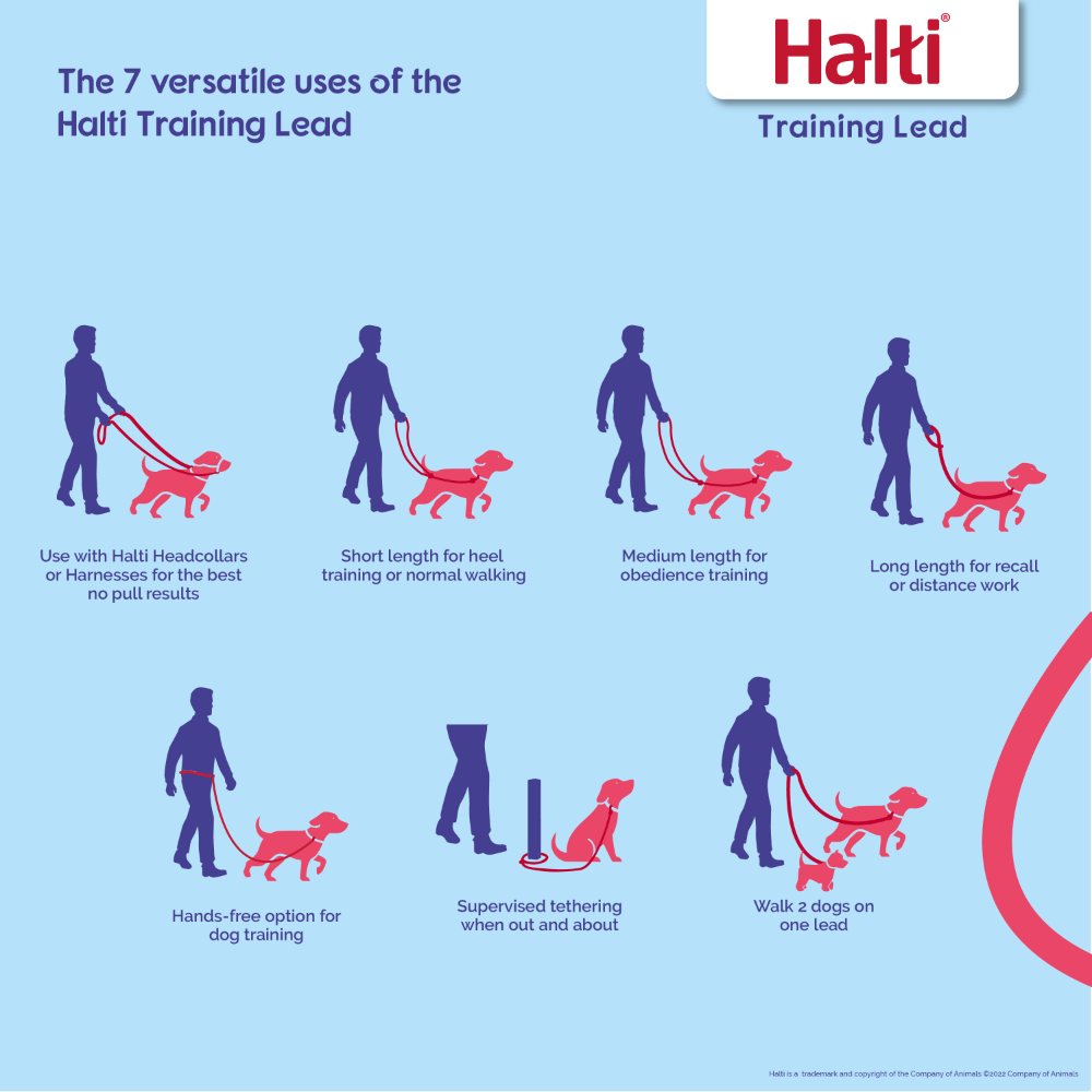 Halti Multi Function Dog Training Lead in Red