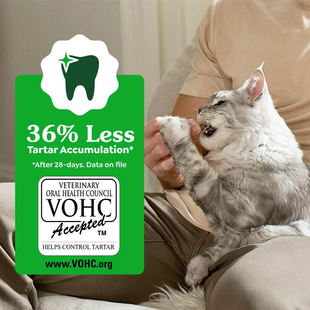 Greenies Cat Treats Dental Tempting Tuna Flavour