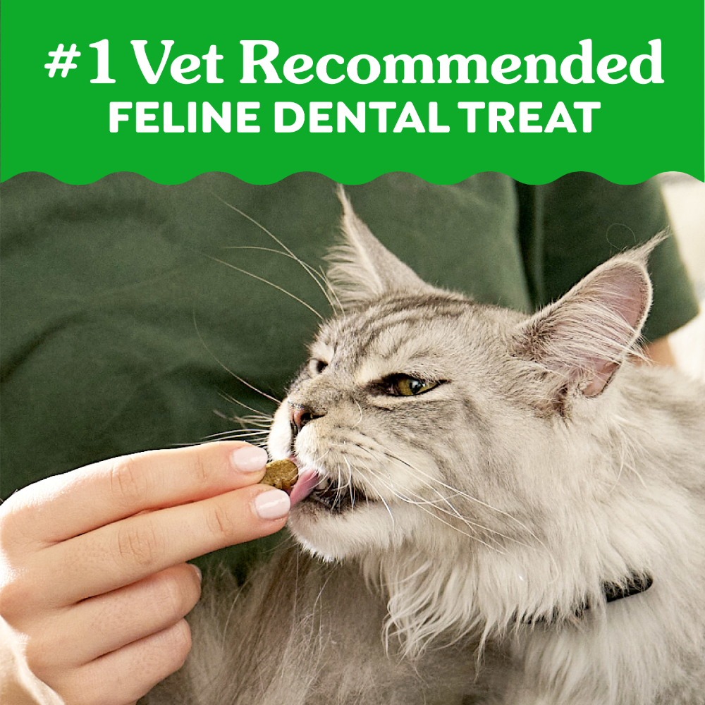 Greenies Cat Treats Dental Tempting Tuna Flavour