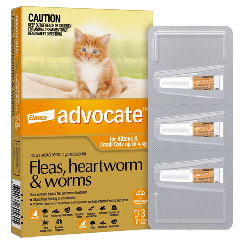 Advocate for Kittens and Small Cats up to 4kg Orange
