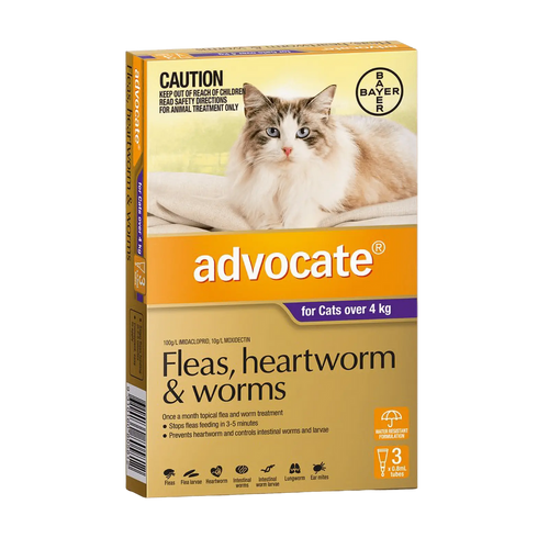 Advocate for Cats over 4kg Purple