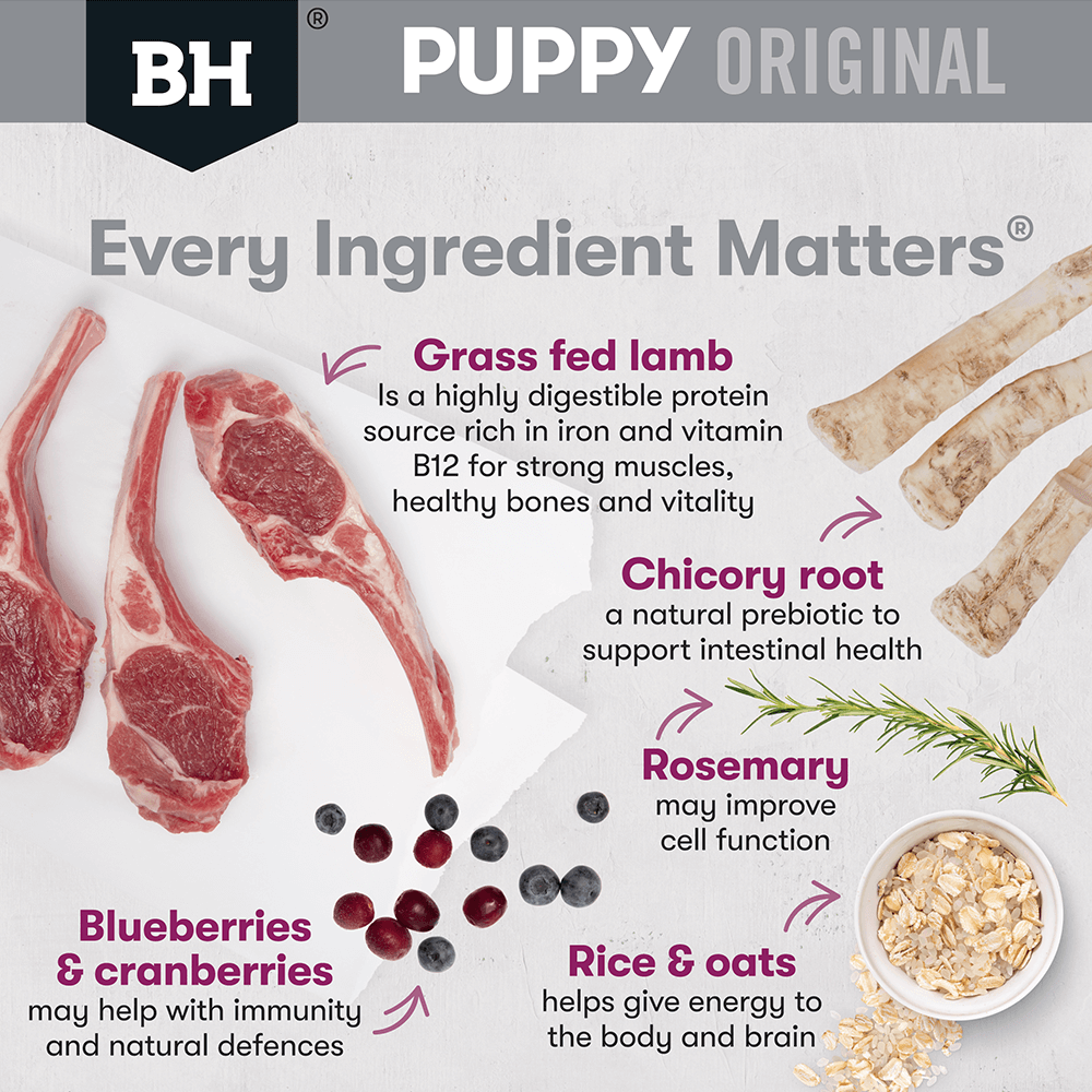 Black Hawk Original Lamb & Rice Medium Breed Puppy Dry Dog Food