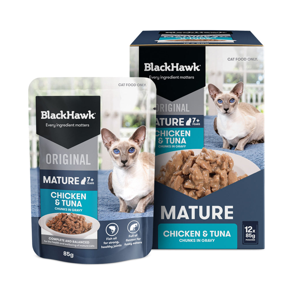 Black Hawk mature 12pack