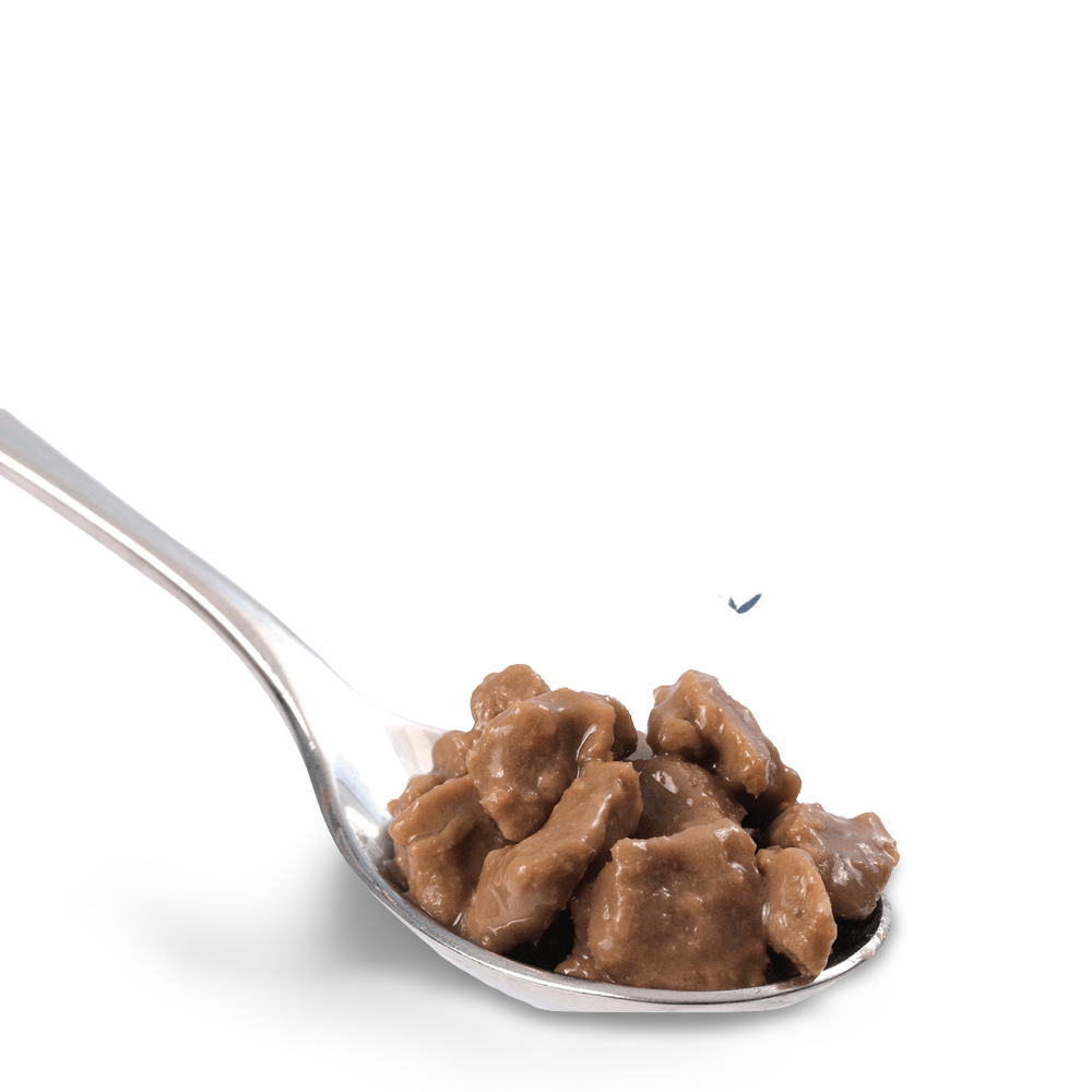 Black Hawk Original Mature 7+ Chicken & Tuna in Gravy Wet Cat Food 85g × 12