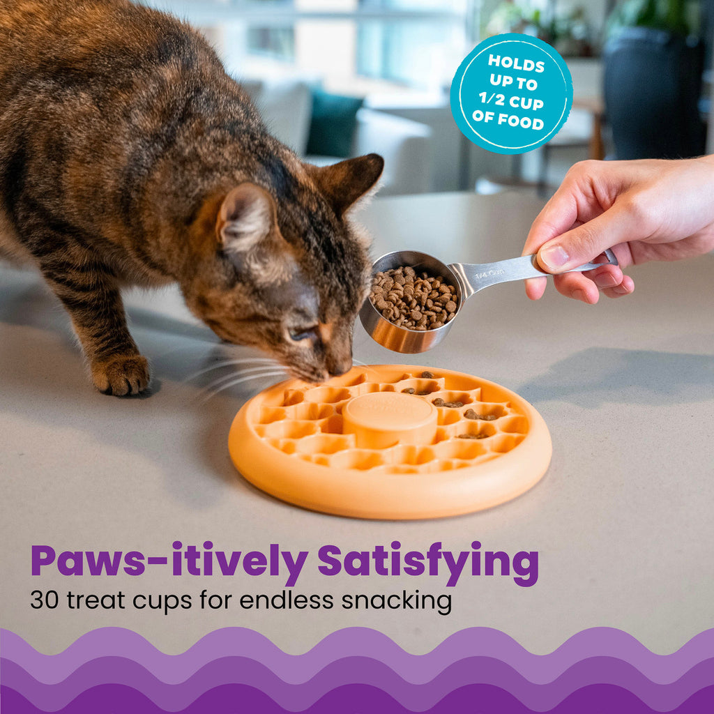 Catstages Cat Slow Feeder Bowl lifestyle