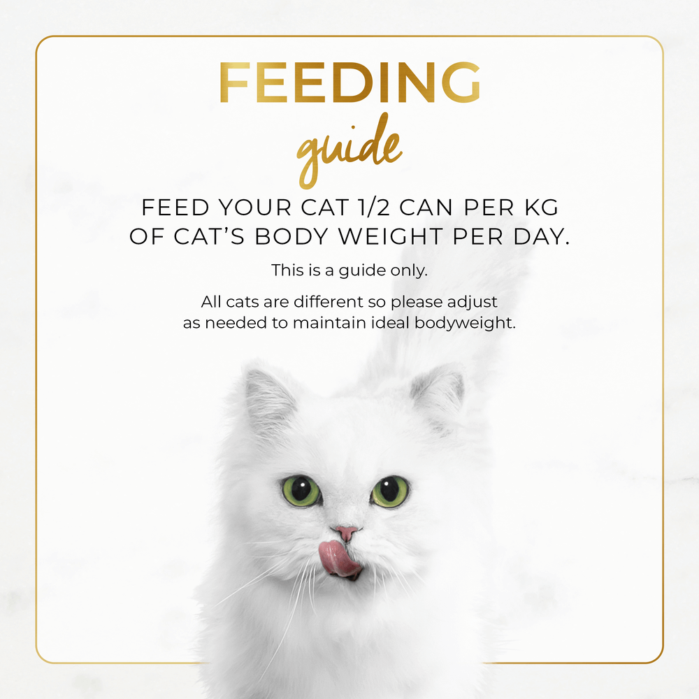 Fancy Feast Grilled Chicken & Beef Feast in Gravy Wet Cat Food