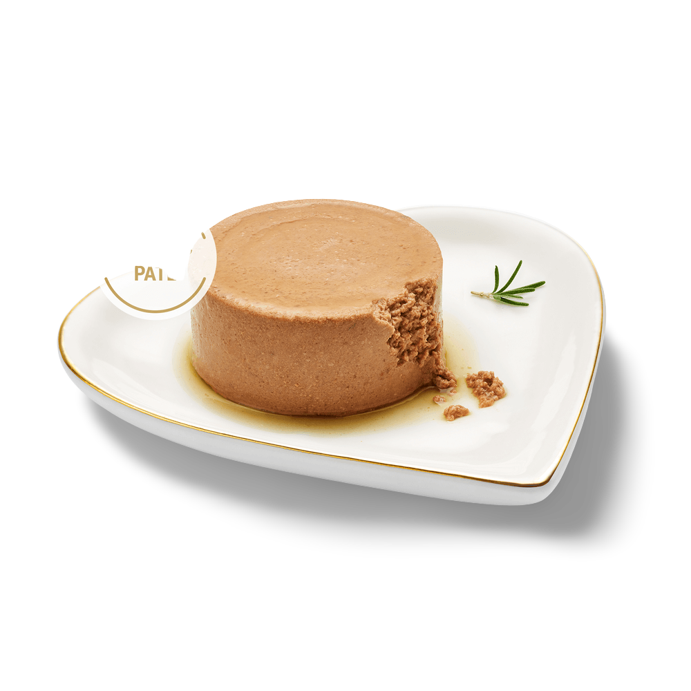 Fancy Feast Grilled Chicken & Beef Feast in Gravy Wet Cat Food
