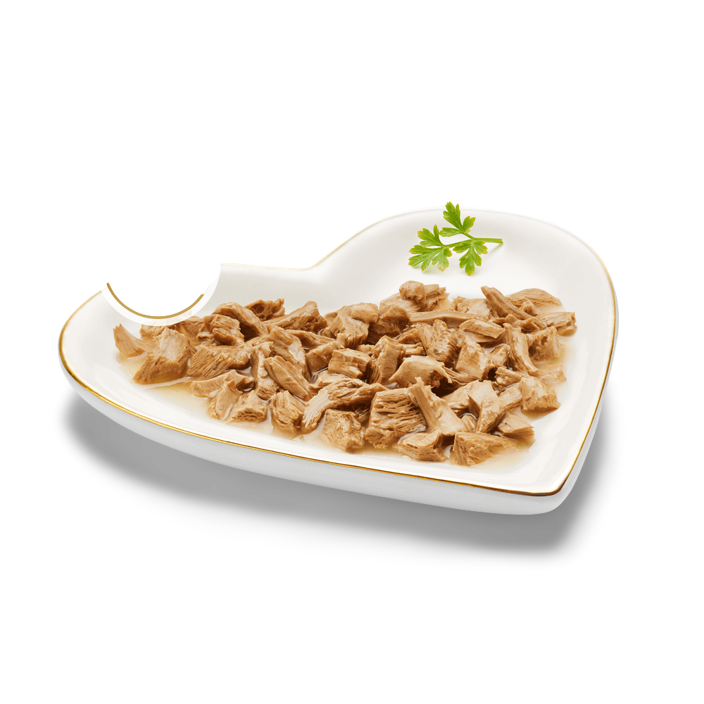 Fancy Feast Grilled Tuna Feast in Gravy Wet Cat Food
