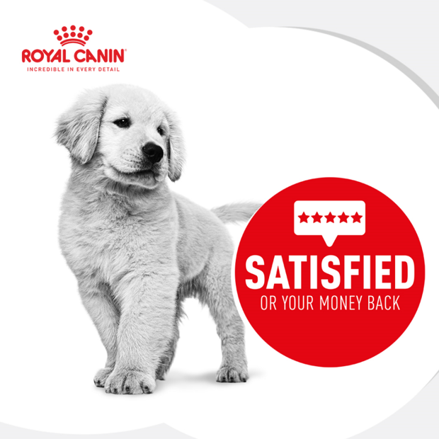 Royal Canin Medium Puppy product gallery image 4