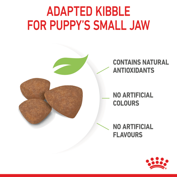 Royal Canin Mini Puppy product gallery image 3
