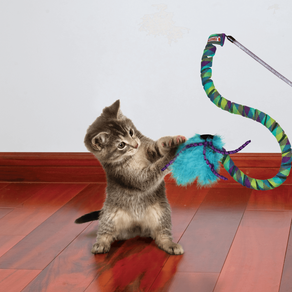 KONG Curlz Teaser Cat Toy alternate view 3
