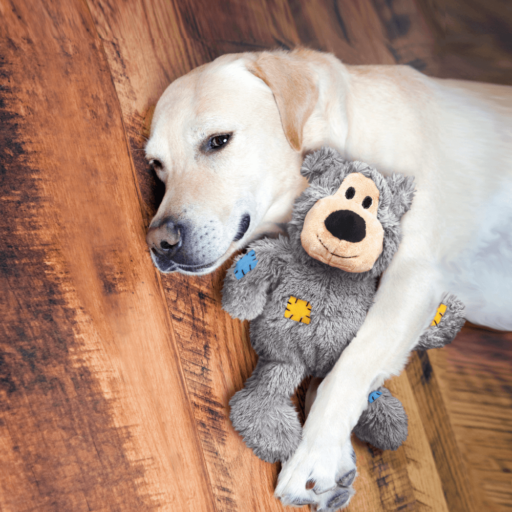 Kong Wild Knot Bear Plush Dog Toy