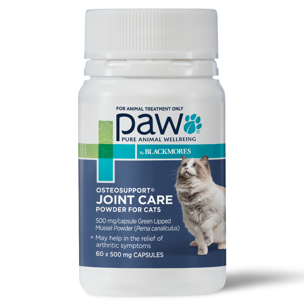 PAW product photo 1 sourced from Pet Circle