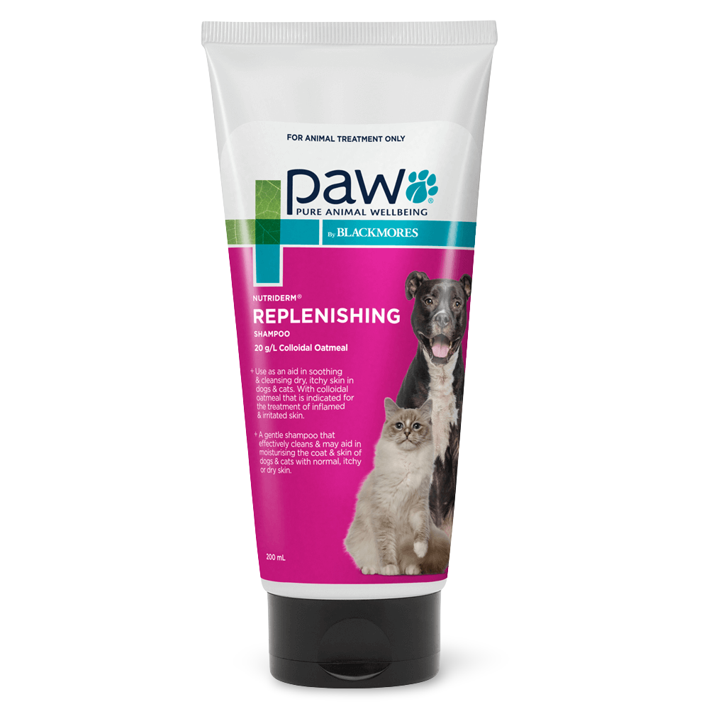 PAW product photo 1 sourced from Pet Circle