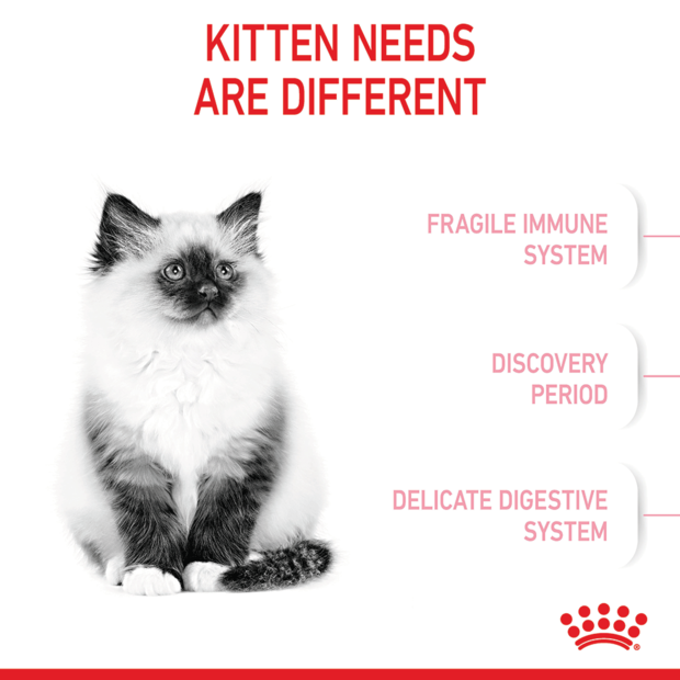 Royal Canin Kitten product gallery image 3