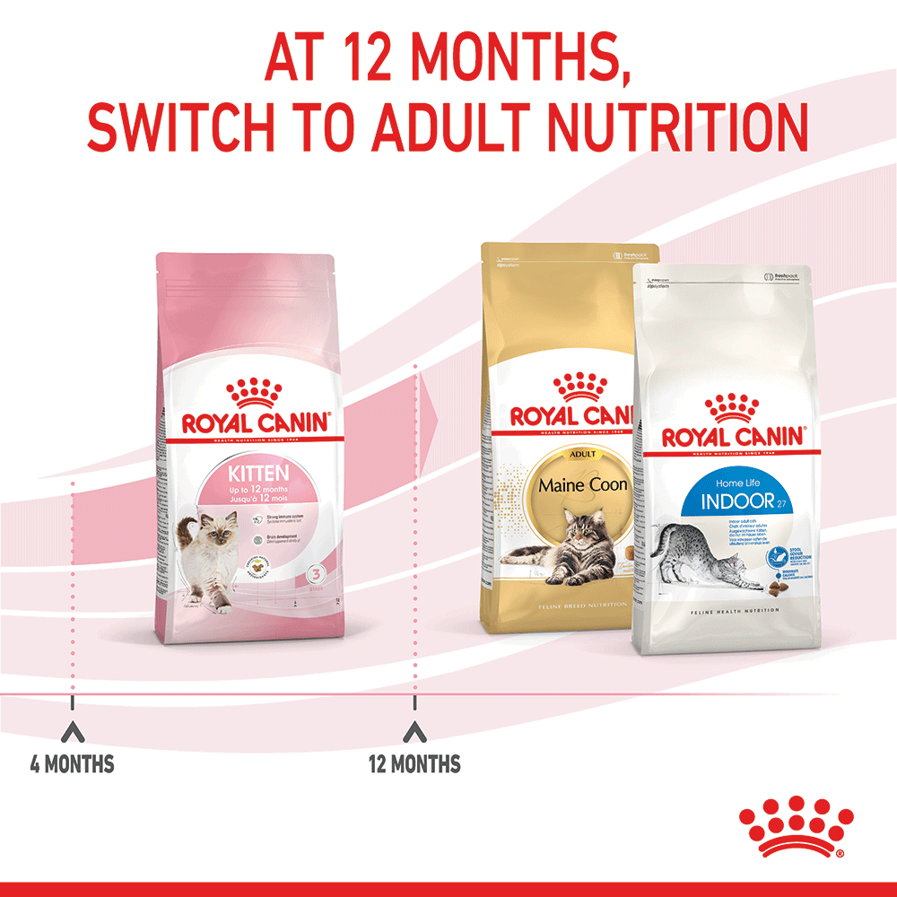 Royal Canin Kitten Dry Cat Food