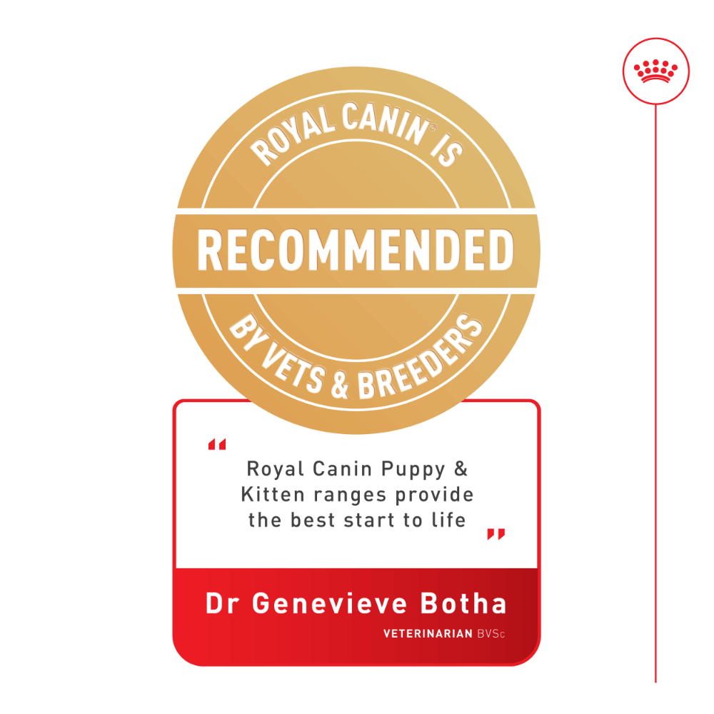 Royal Canin Mini Puppy Dry Dog Food 2kg