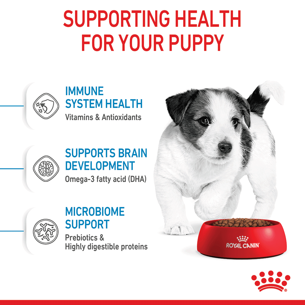 Royal Canin Mini Puppy Dry Dog Food 2kg