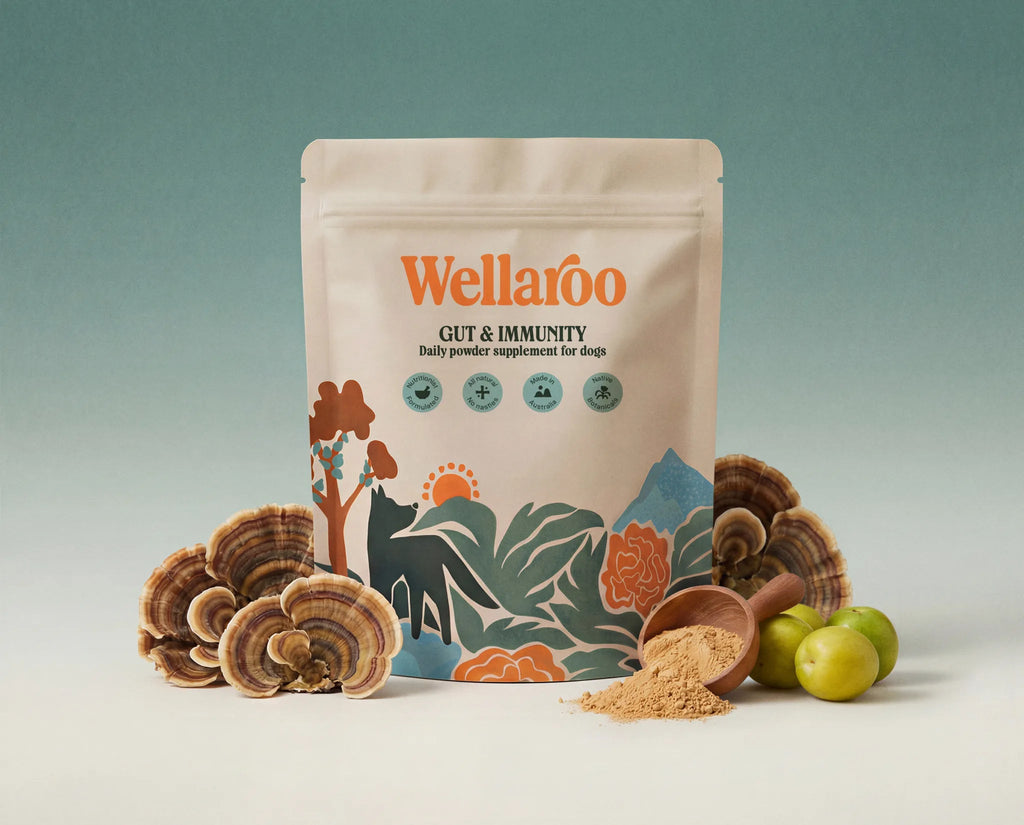 Wellaroo Gut & Immunity 100g official product packaging