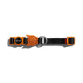 Zee.Cat Patagonia Cat Collar