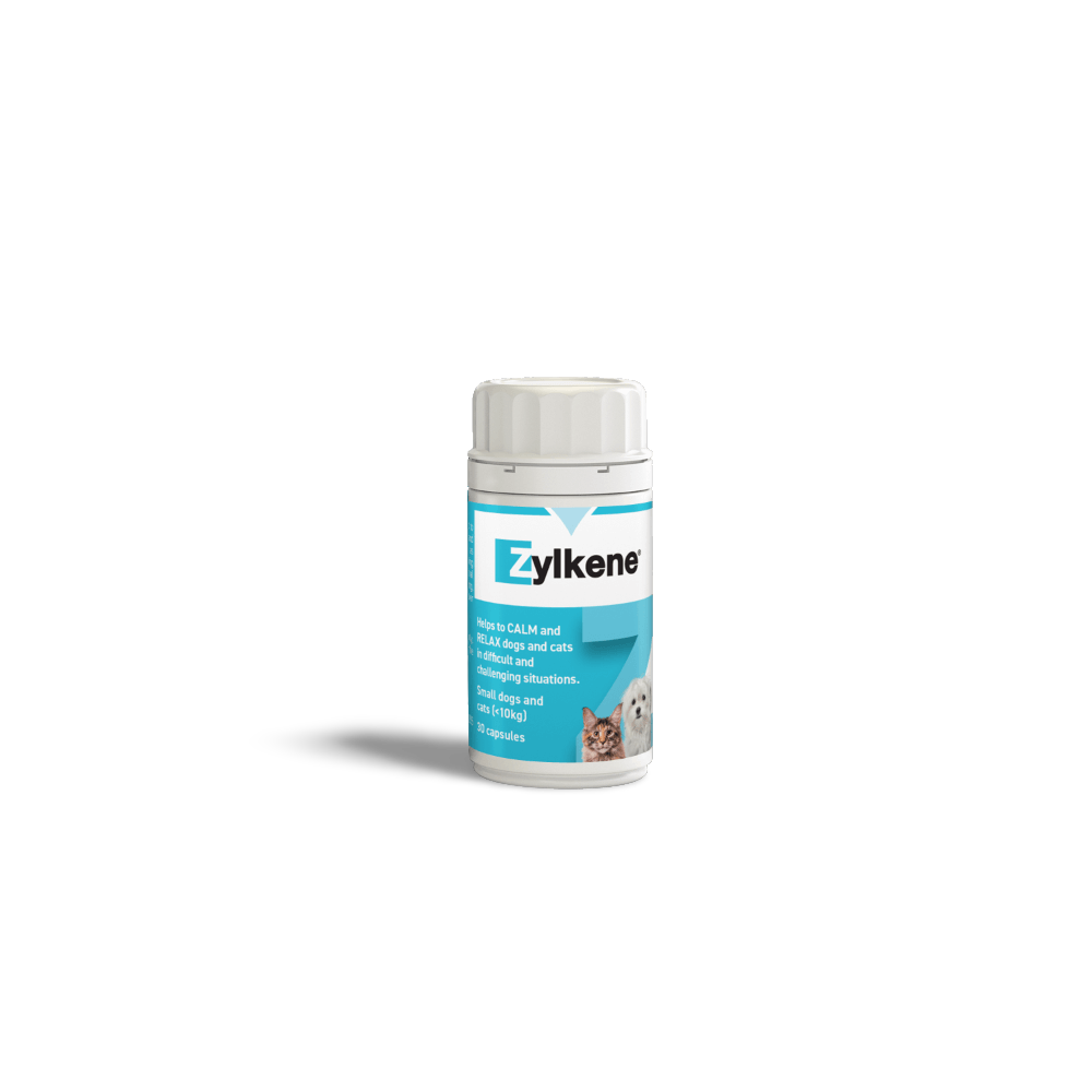 Zylkene 75mg calming supplement for small dogs and cats