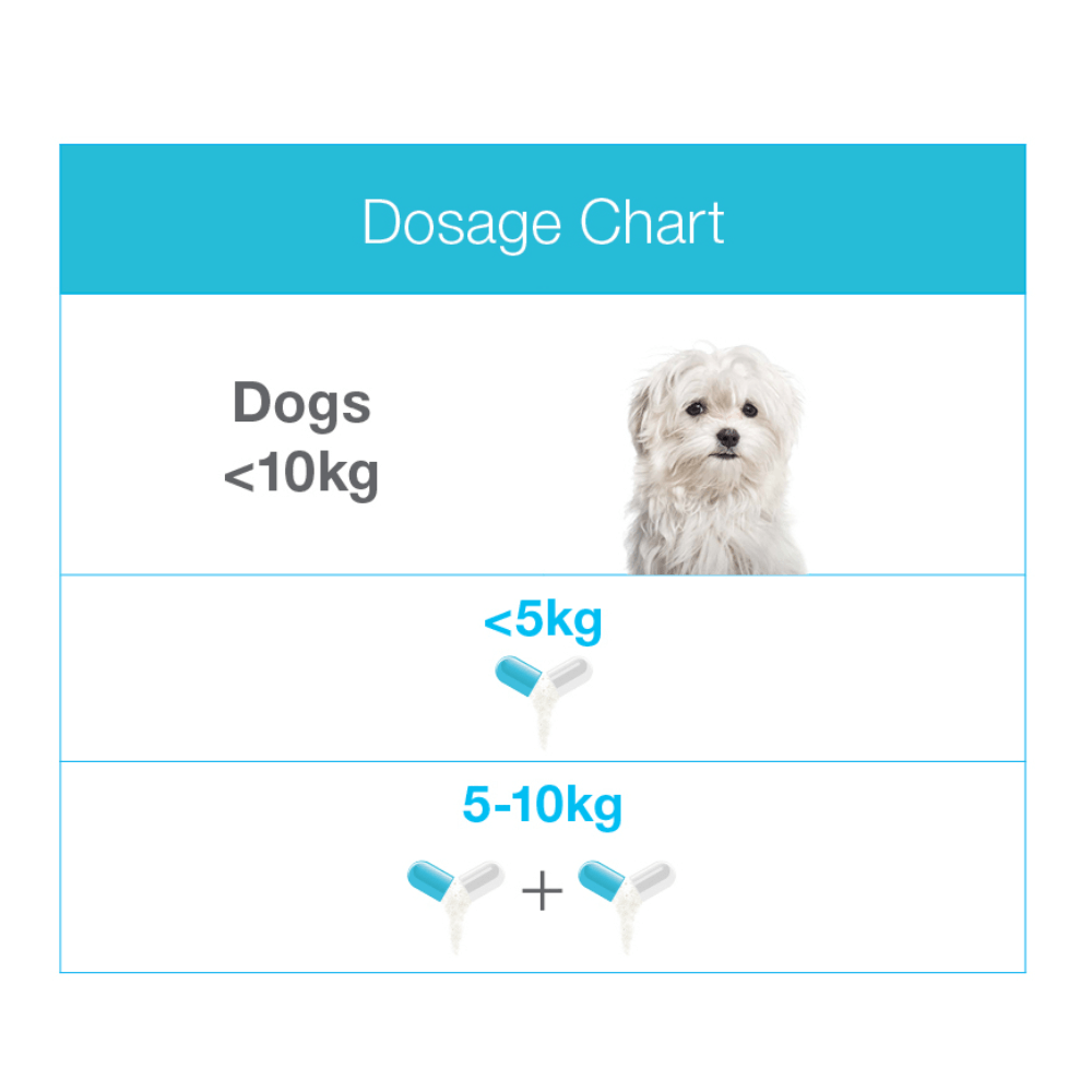 Zylkene 75mg calming supplement for small dogs and cats