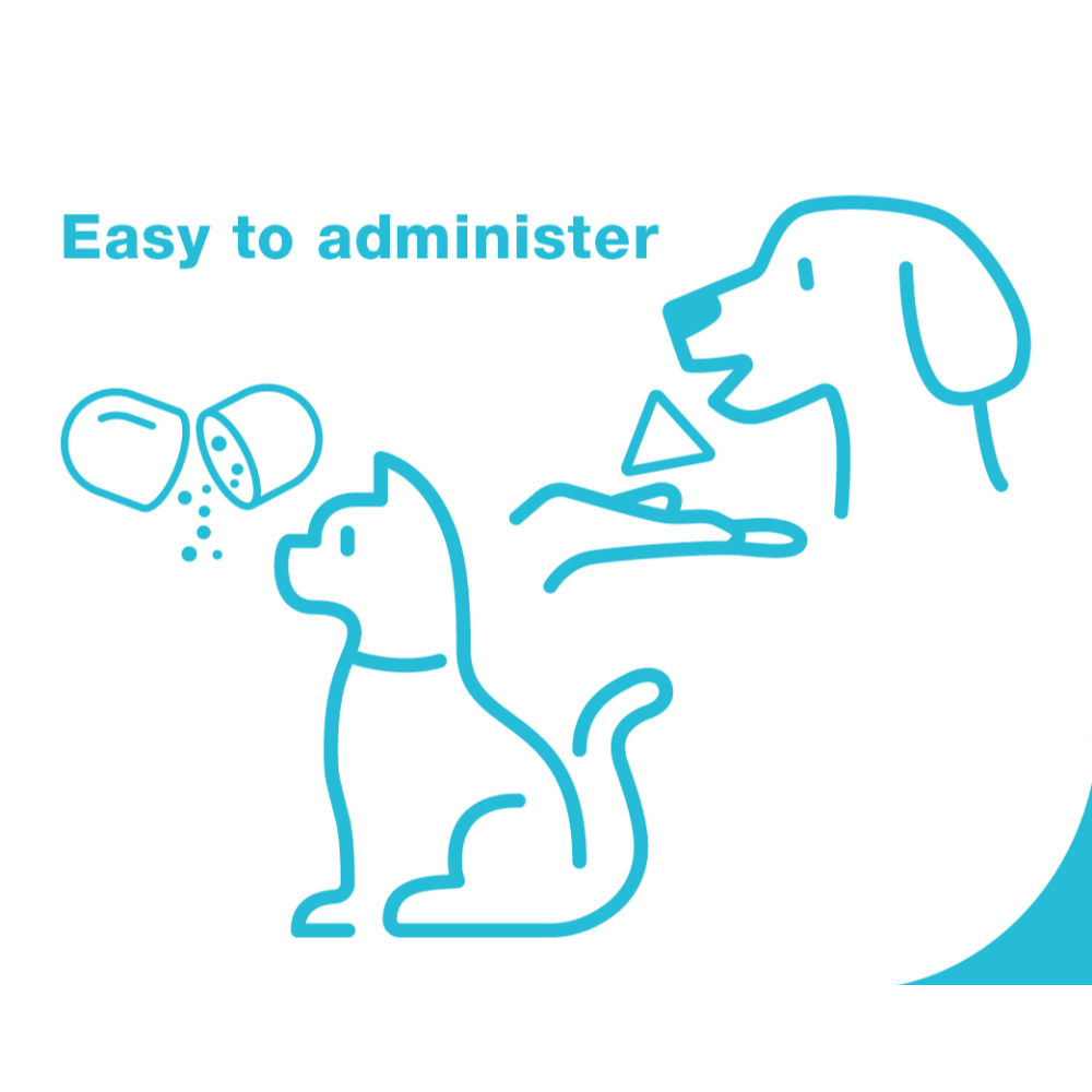 Zylkene 75mg calming supplement for small dogs and cats
