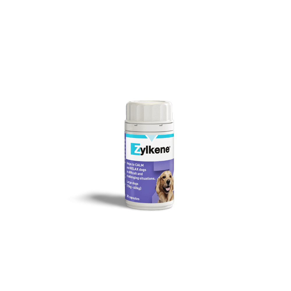 Zylkene 450mg large dogs product image 8