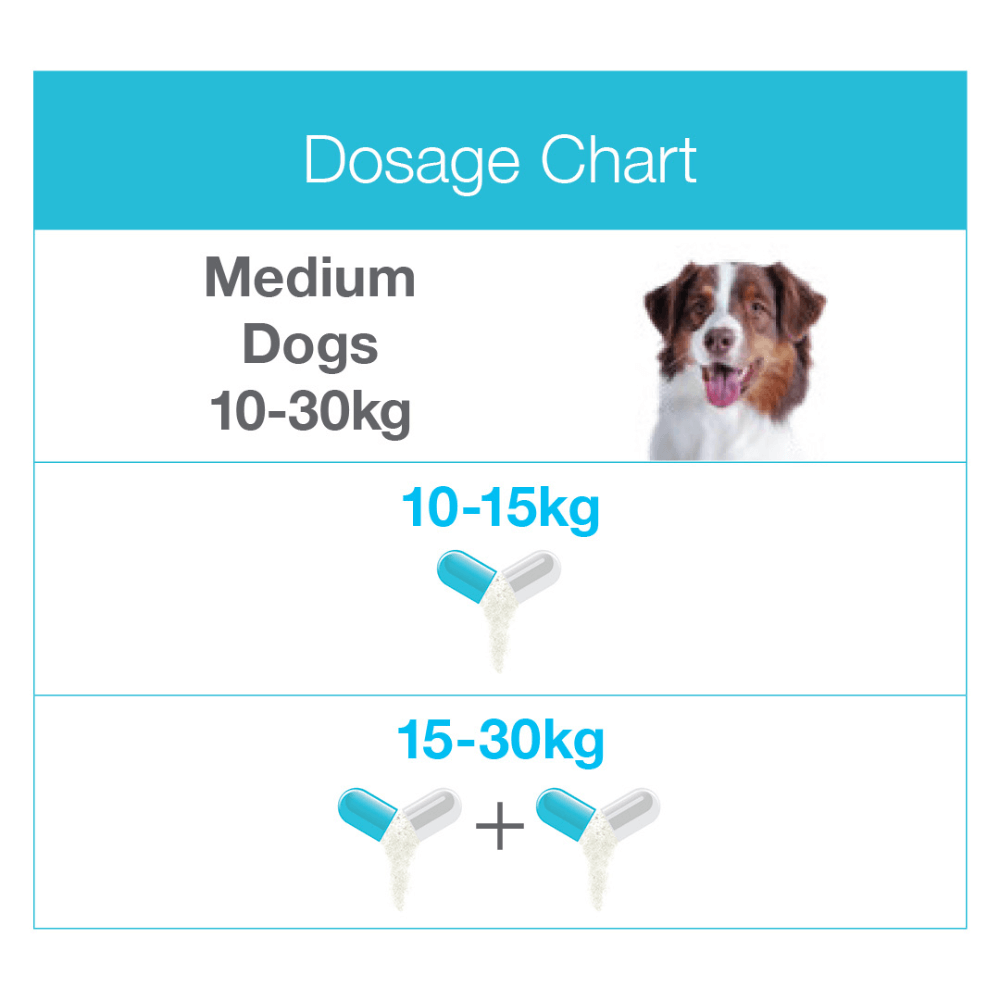 Zylkene 225mg medium dogs product image 4